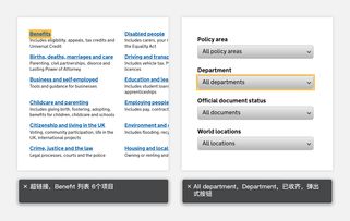 政務(wù)網(wǎng)站信息無障礙設(shè)計 研究篇