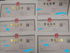 公司注冊(cè)全方位服務(wù) 個(gè)體、財(cái)務(wù)代理與內(nèi)資公司注冊(cè)指南